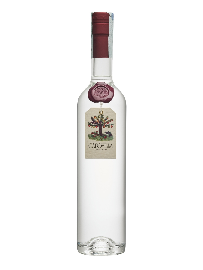 CAPOVILLA Grappa di Brunello - secondary image - CAPOVILLA