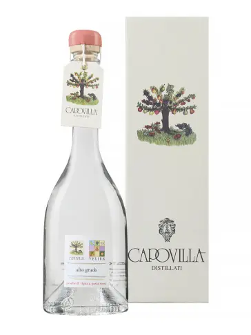 CAPOVILLA Pêche de Vigne - Pesche di Vigna - main image