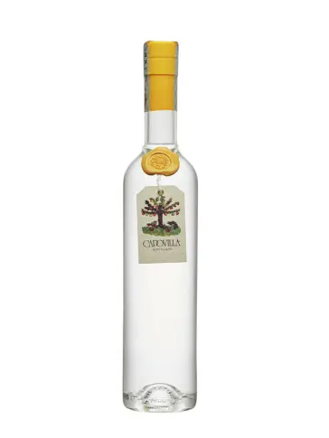 CAPOVILLA Grappa di Moscato Giallo - visuel principal