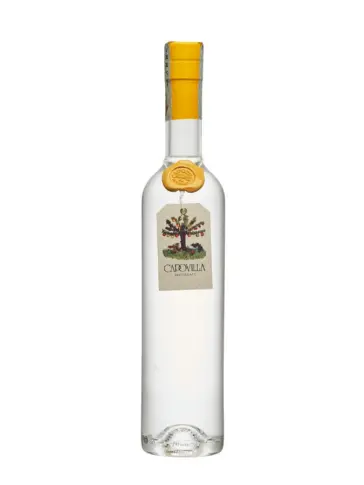 product-main-image