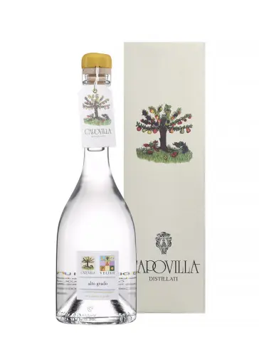 CAPOVILLA Muscat Jaune - Uva Moscato Giallo - visuel principal