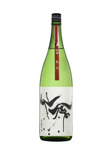 SENKIN 50 - main image