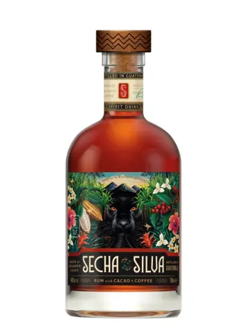 SECHA DE LA SILVA - visuel principal