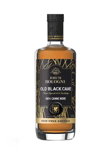 BOLOGNE Old Black Cane 100% Canne Noire - main image