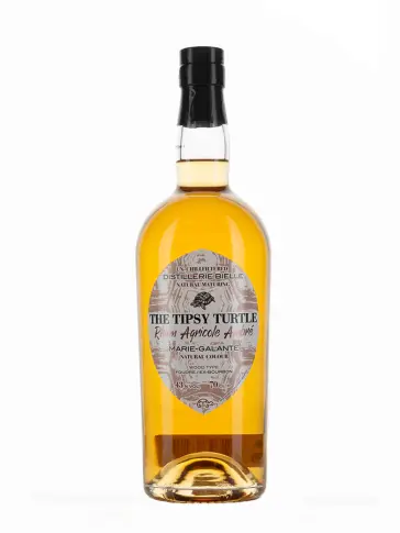 THE TIPSY TURTLE Asta Morris - main image