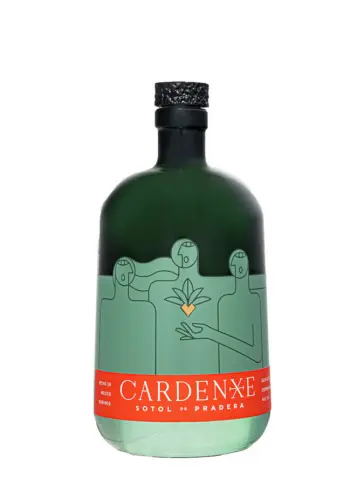 CARDENXE Sotol de Pradera - visuel principal