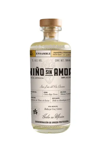 NINO SIN AMOR Ensamble - main image
