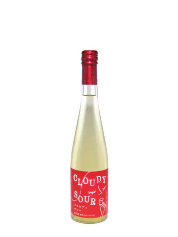 product-main-image
