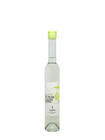 product-main-1