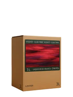 H.THEORIA Electric Velvet BIB - secondary image - New arrivals