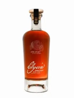 ASCEND Elysia - visuel secondaire - Les derniers arrivages