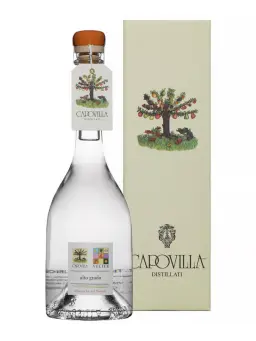 CAPOVILLA Abricot du Vesuve - Albicocche del Vesuvio - secondary image - Spirits selections