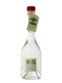 CAPOVILLA Griotte - Amarene di Montagna - visuel secondaire - Eaux-de-vie de fruit