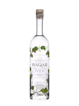 WAQAR - secondary image - Pisco