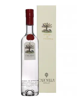 CAPOVILLA Grappa di Amarone - visuel secondaire - Grappa
