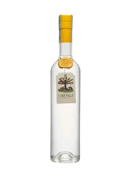 CAPOVILLA Grappa di Moscato Giallo - visuel secondaire - Salariés LMDW