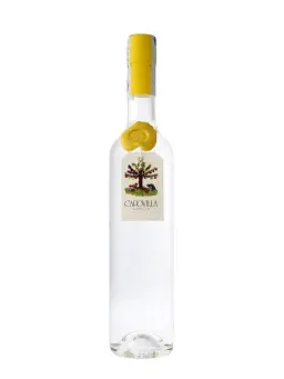 CAPOVILLA Grappa di Moscato Giallo - visuel secondaire - Grappa