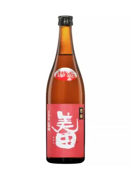 BIDEN 1999 - visuel secondaire - 1999