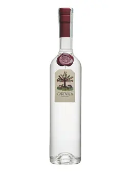 CAPOVILLA Grappa di Brunello - visuel secondaire - CAPOVILLA