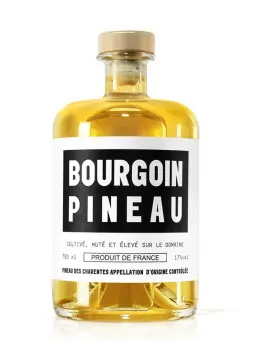 BOURGOIN COGNAC Pineau des charentes - visuel secondaire - Cognac & Armagnac