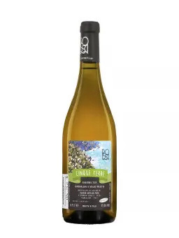 AZ. AGRICOLA POSSA 2019 Cinque Terre - Blanc - visuel secondaire - Italie