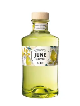 JUNE Poire by G'Vine - visuel secondaire - Gin