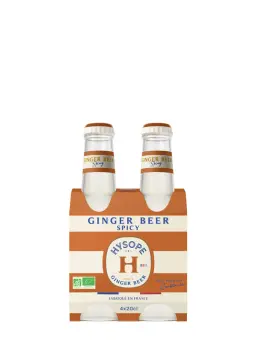 HYSOPE Ginger Beer pack de 4 Bio - visuel secondaire - Nature de produit