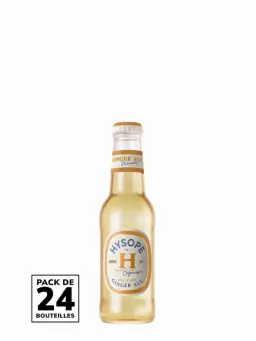 HYSOPE Ginger Ale Pack 24x20 cl Bio - visuel secondaire - Eau, Jus & Soda