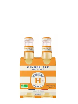 HYSOPE Ginger Ale Pack de 4 - secondary image - HYSOPE