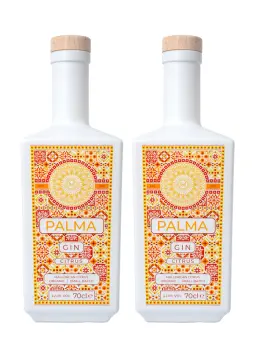 DUO PALMA CITRUS GIN - visuel secondaire - The Avant Gardists